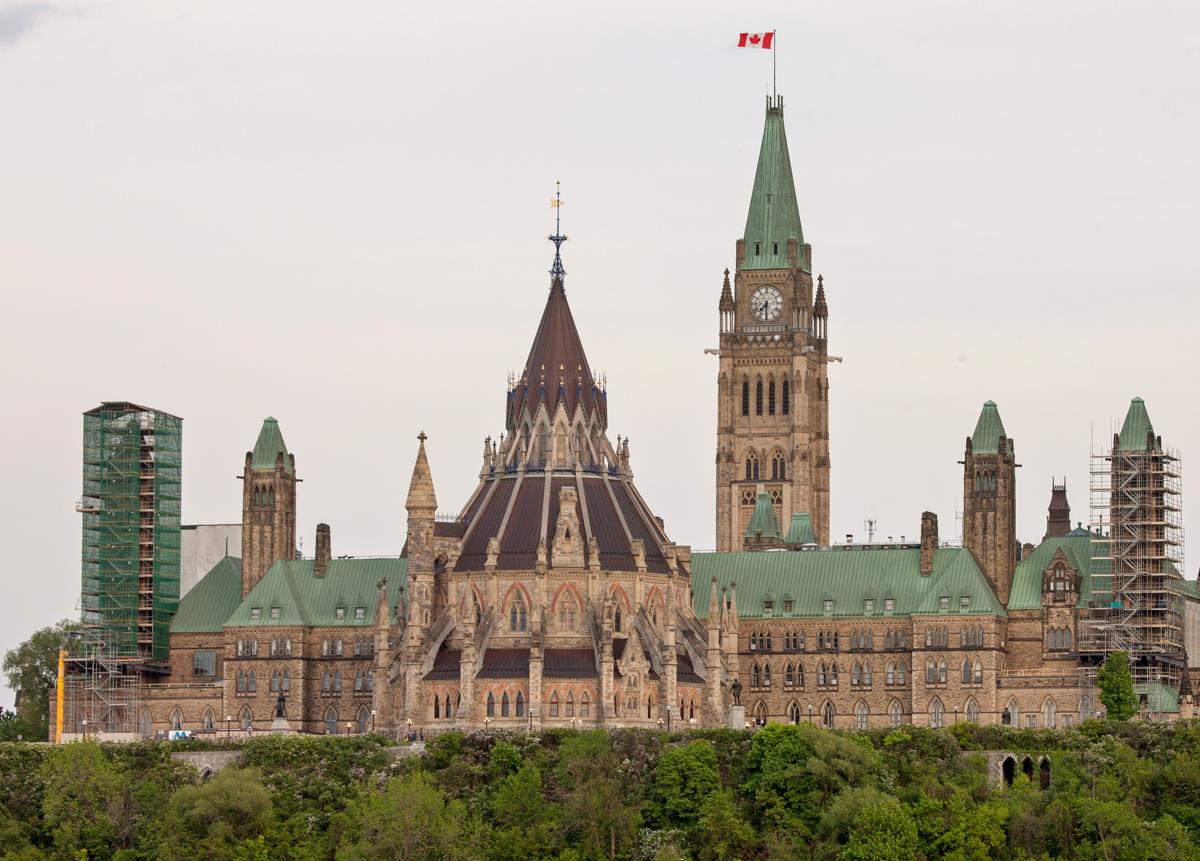 1668064799541998.jpg 1668064799541998.jpg