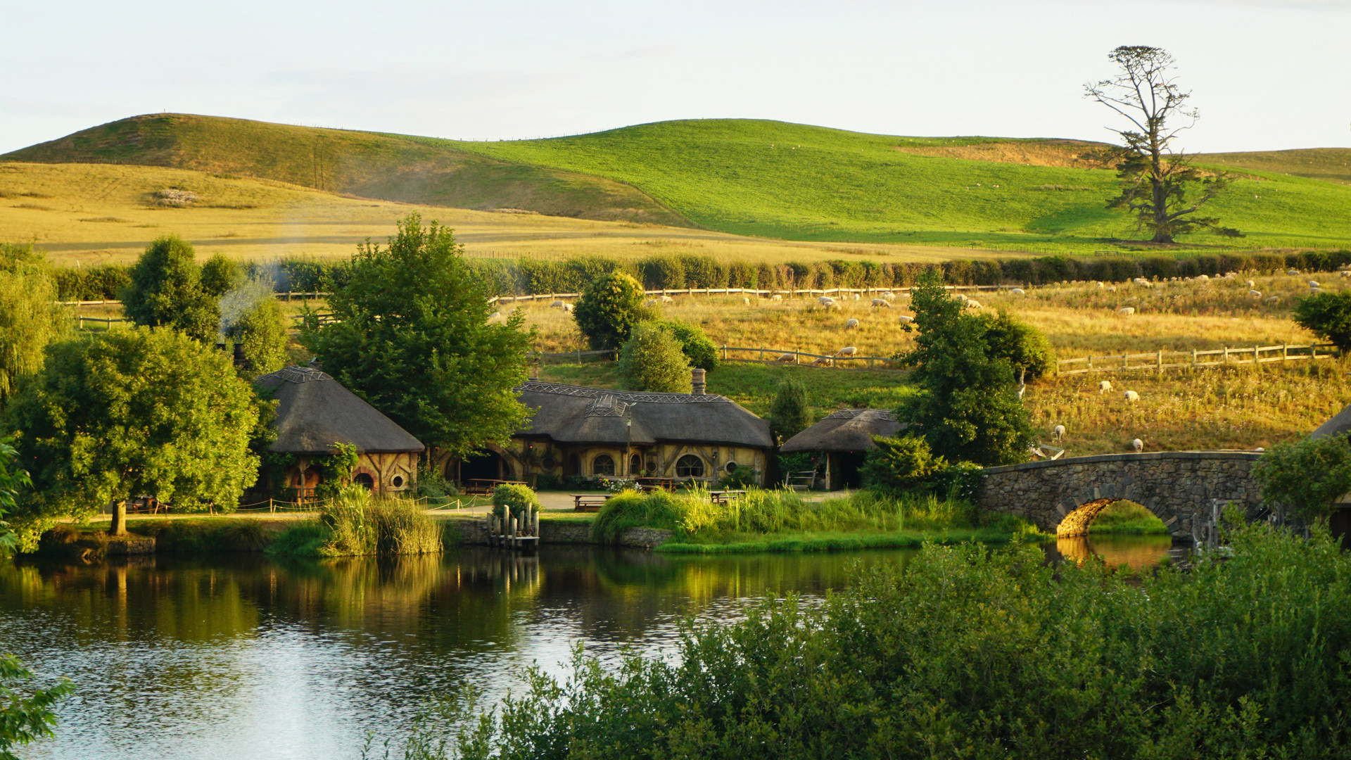 1668064886221856.jpg 1668064886221856.jpg