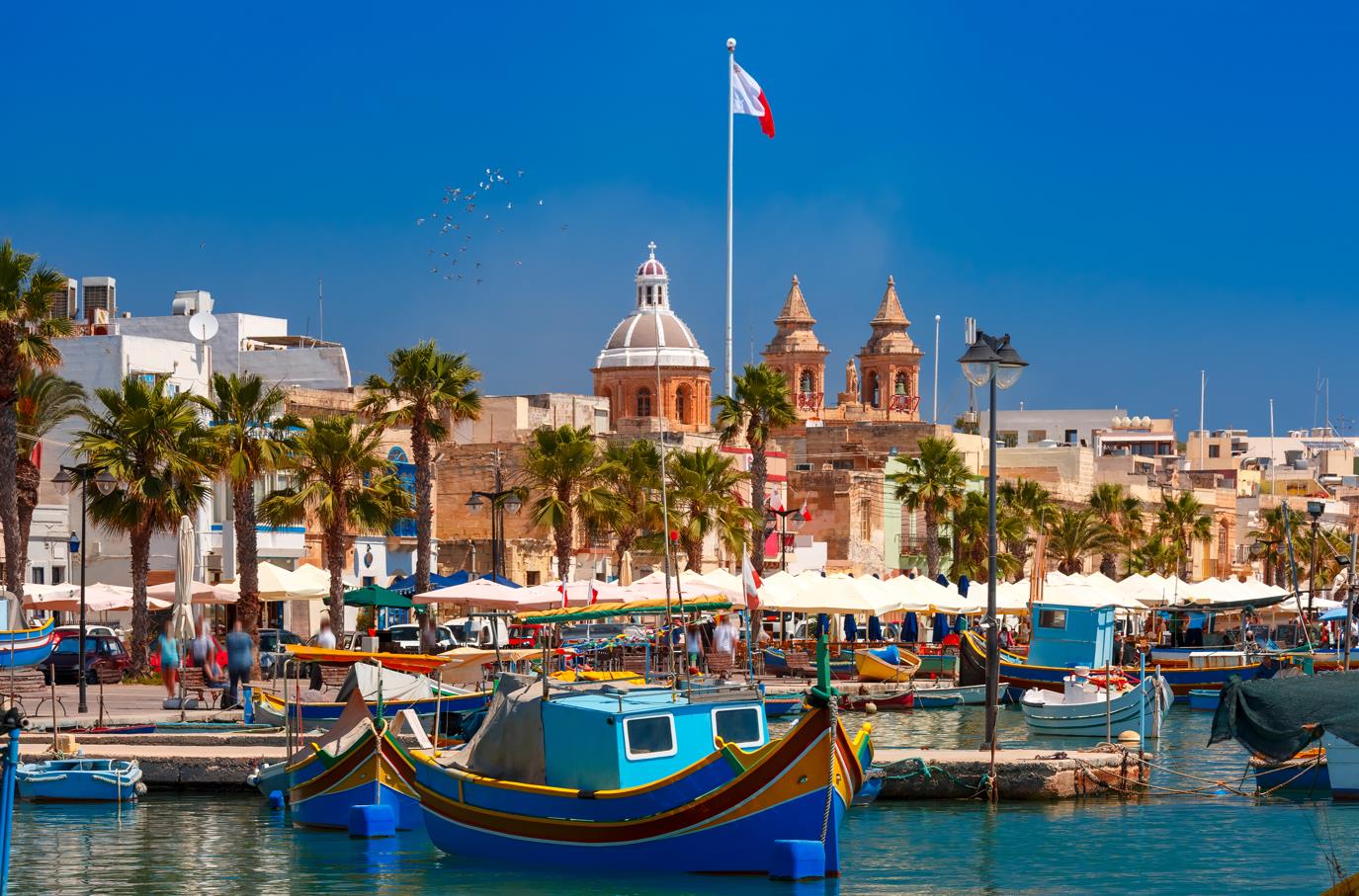 1668409386762826.jpg 1668409386762826.jpg