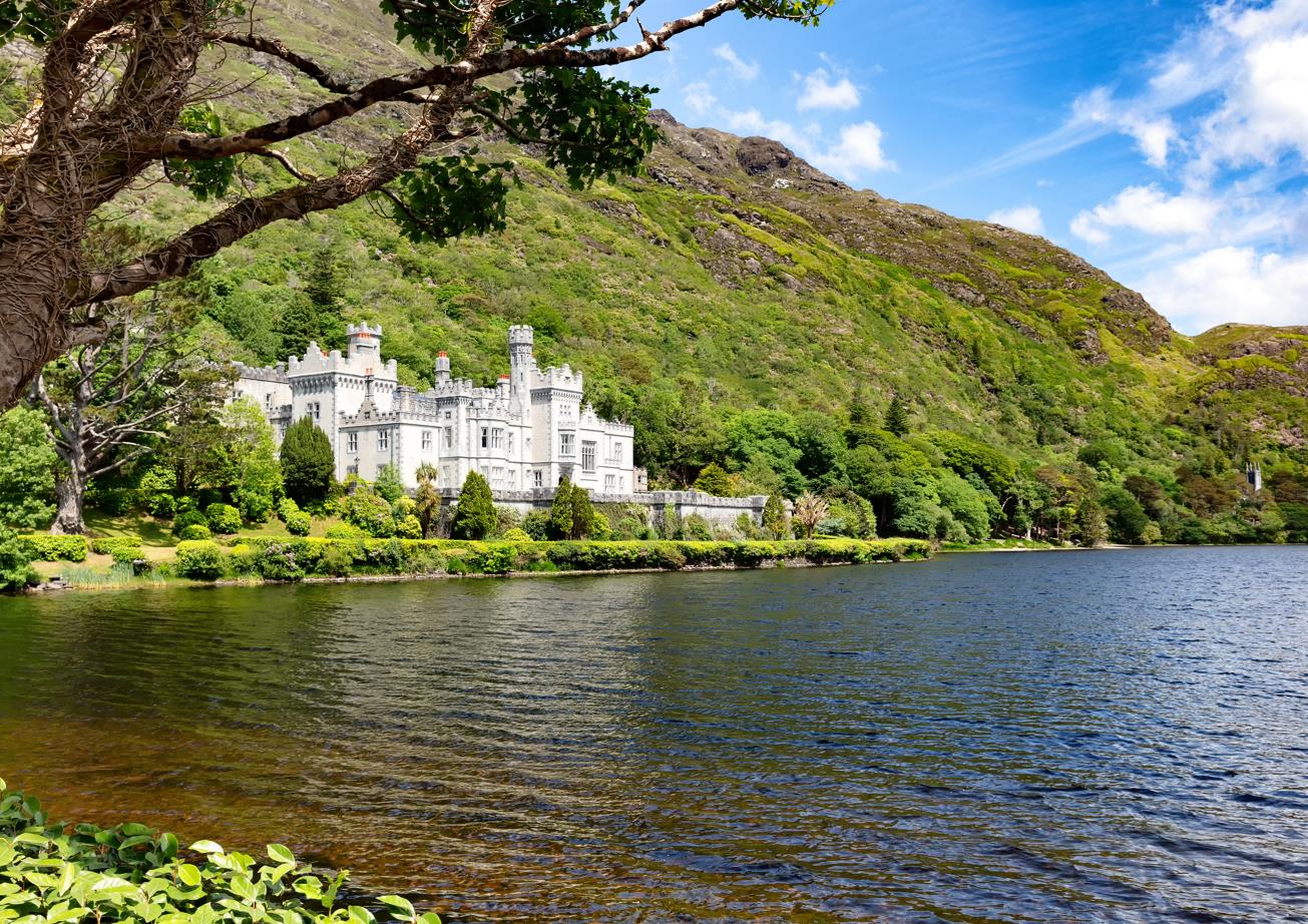 1668663151643034.jpg 1668663151643034.jpg