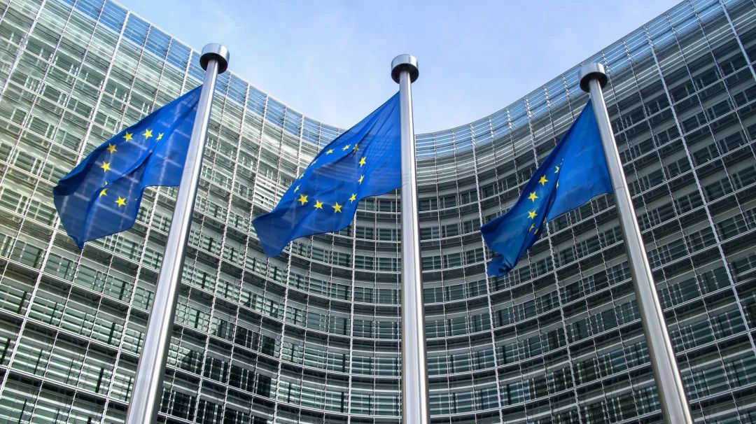 1669271564158789.jpg 1669271564158789.jpg