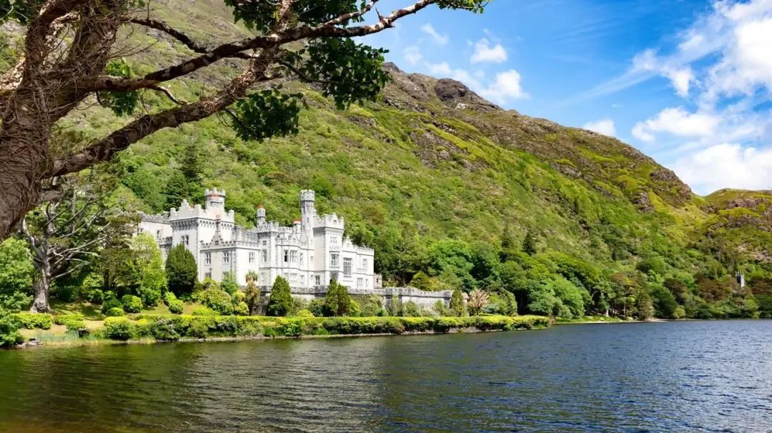 1669271725350716.jpg 1669271725350716.jpg