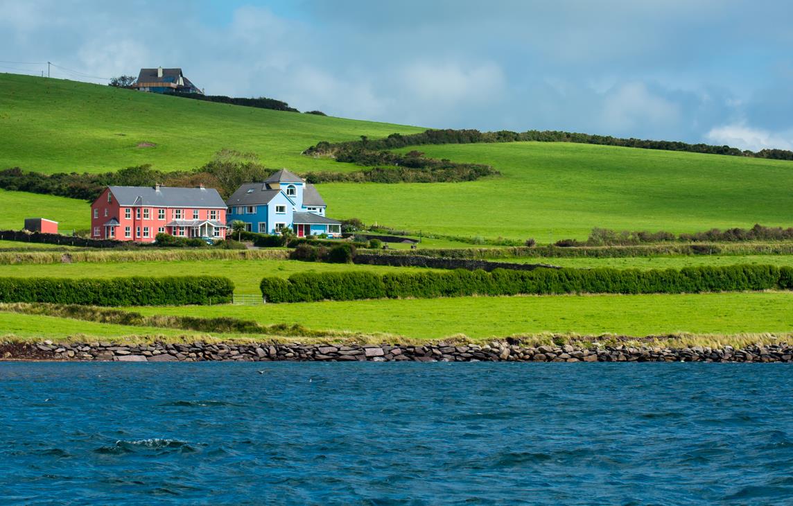 1671003474724889.jpg 1671003474724889.jpg