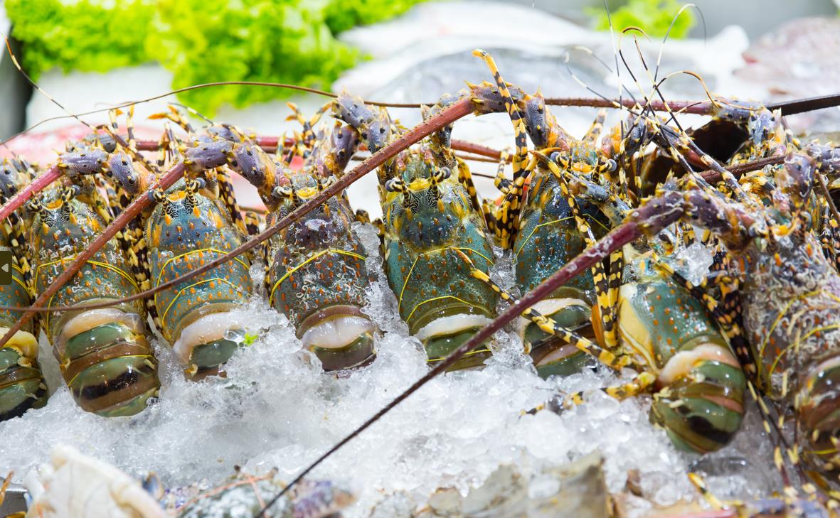 1676339802681489.jpg 1676339802681489.jpg