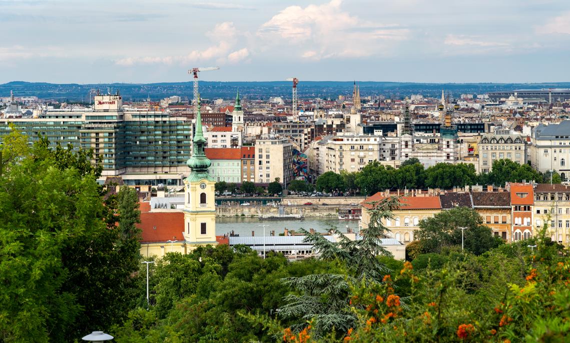 1682476161460542.jpg 1682476161460542.jpg