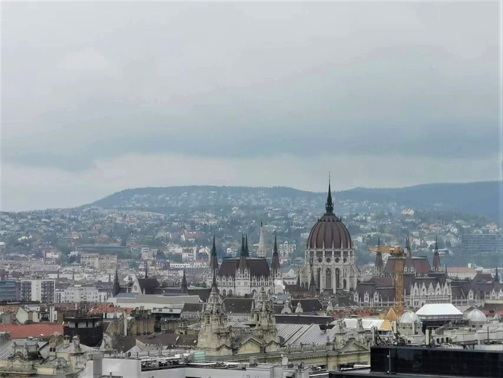 1682476338891611.jpg 1682476338891611.jpg